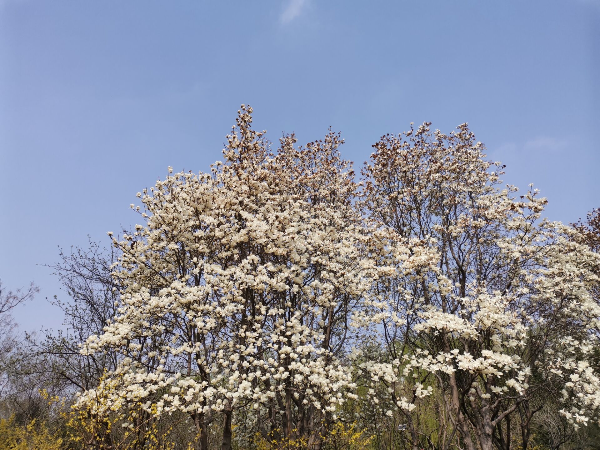 “不忘初心，砥礪前行”-濟(jì)南中創(chuàng)團(tuán)建活動(dòng)圓滿結(jié)束