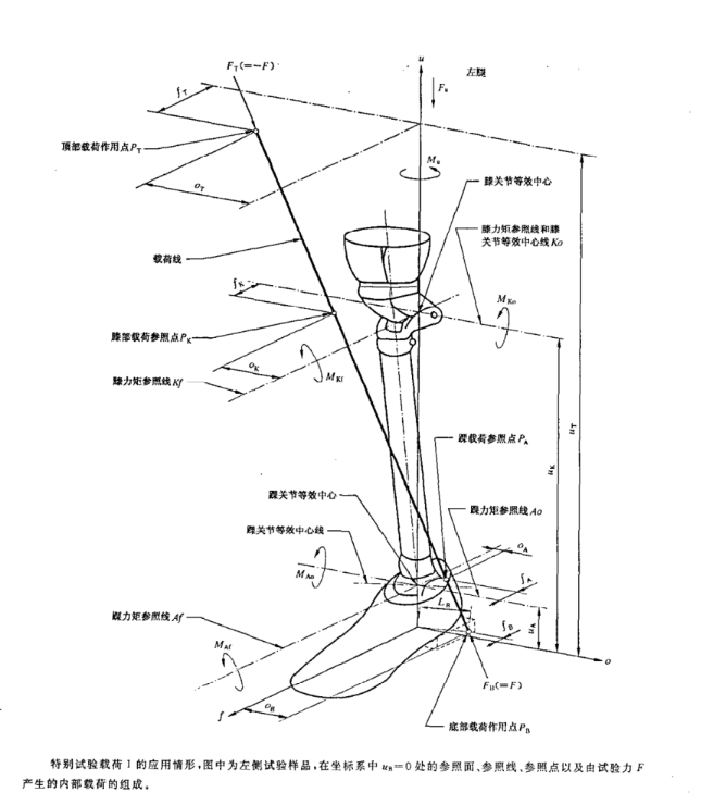 假肢 下肢假肢結(jié)構(gòu)內(nèi)力及其作用